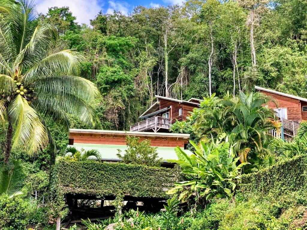 Hotel Le Bougainvillier Blanc Pointe-Noire Exterior foto